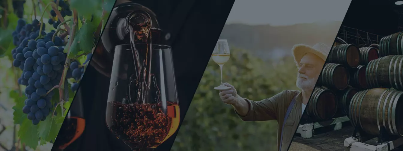 Vinarije i podrumi pića