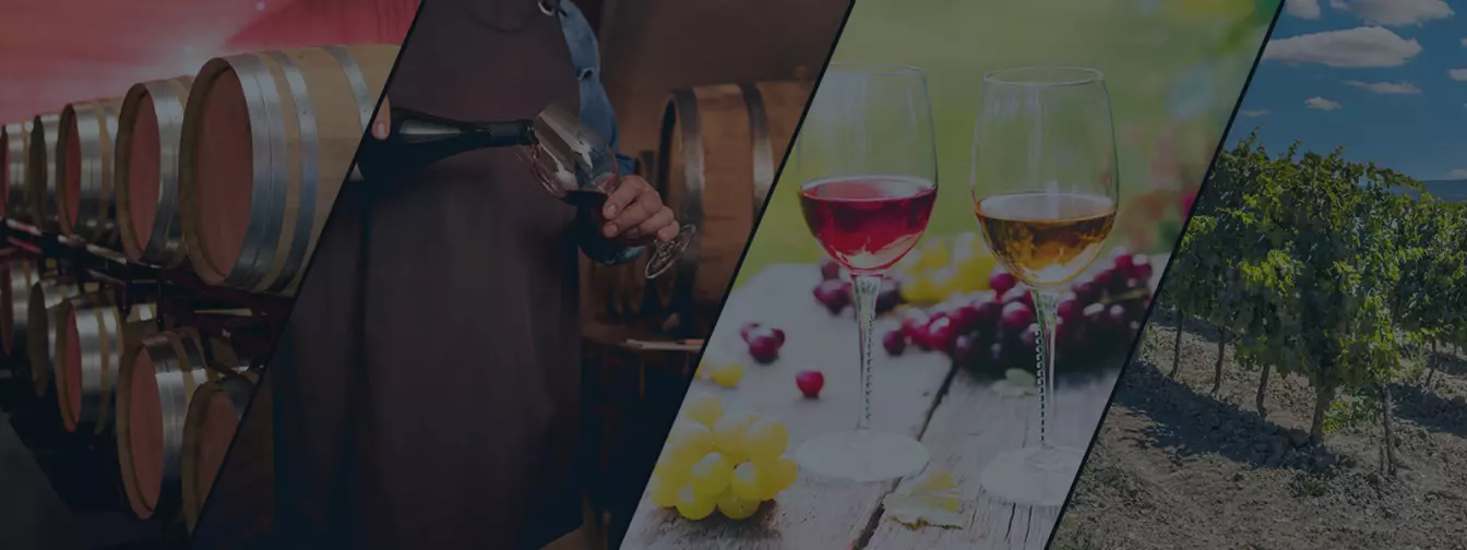 Vinarije i podrumi pića