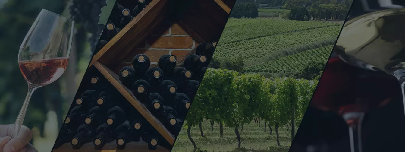 Vinarije i podrumi pića