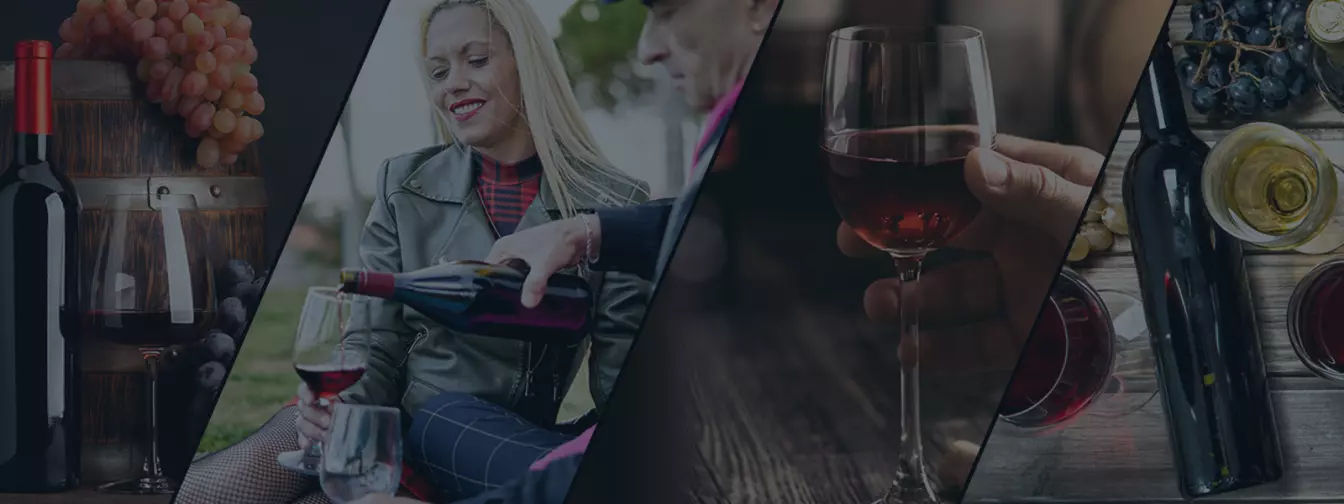 Vinarije i podrumi pića