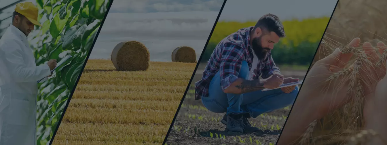 Zemljoradničke zadruge