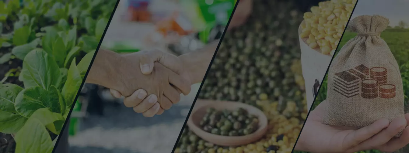 Zemljoradničke zadruge