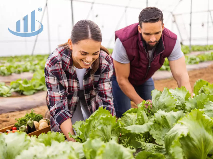 Domaća zimnica kao čuvar ukusa i tradicije kroz zimu