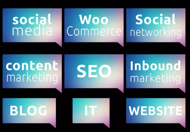 NOVI GOOGLE ALGORITAM– KAKO KORNJAČA UVEK POBEDI ZECA ili ŠTA MORATE ZNATI DA BISTE OPTIMIZIRALI SAJT U 2018! 